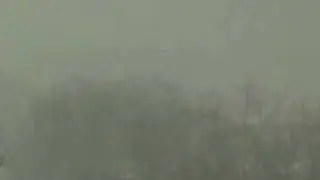 05 T1h2e3B4ells_MPEG4_part2_x264.mp4