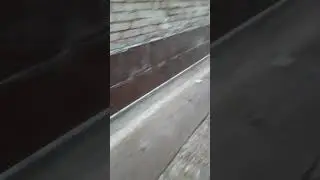 Таджики удивили всем вот это мастер плитчик 😱