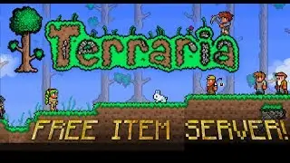 HOW TO GET INTO A FREE ITEM SERVER! | Terraria