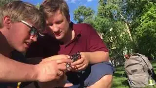 Бухаем, пацаны