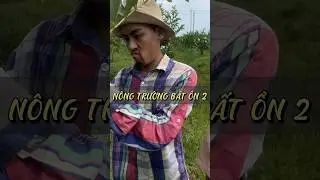 NÔNG TRƯỜNG BẤT ỔN 2 