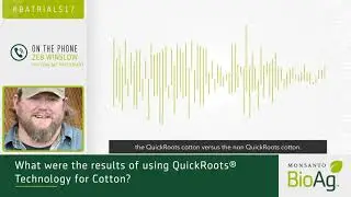 QuickRoots® Technology for Cotton Shows Consistent Yield Advantages in North Carolina Trials