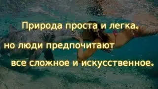 Мудрые мысли и красивые Цитаты о жизни