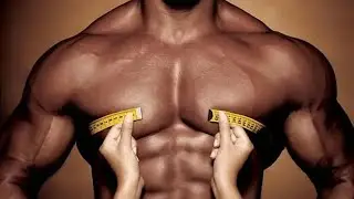 Chest Workout