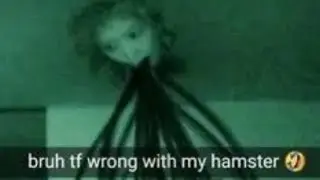 Random memes I permanently borrowed PT.499