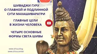 ГЛАВНАЯ И ПОДЛИННАЯ СУТЬ МАХАШИВАРАТРИ. ГЛАВНЫЕ ЦЕЛИ В ЖИЗНИ ЧЕЛОВЕКА. 4 ОСНОВНЫЕ ФОРМЫ СВЕТА ШИВЫ