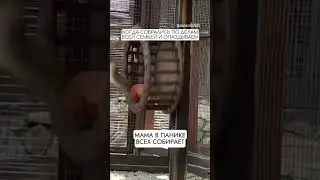 Сборы они такие 😅 