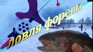 Прикол поставушка.  Ловля форели.
