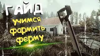 арена брейкаут стрим. Гайд как фармить на ферме