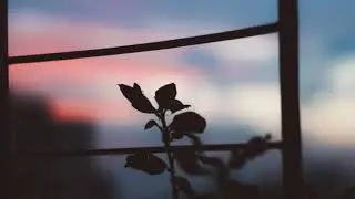 Relaxation music||meditation music,study music,calm music,sleep music,meditation music,focus music.