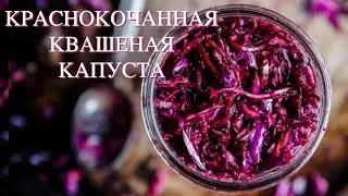 Как Ферментировать Красную (Краснокочанную)  Капусту с Имбирем | квашенная краснокочанная капуста
