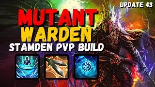 Contingency Warden is BRUTAL! 🔥 Stamden PVP Build - ESO Gold Road