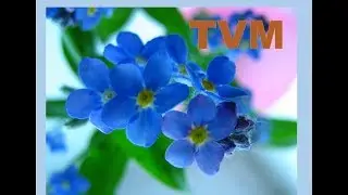 Мухоршибирь открытие Дворца культуры