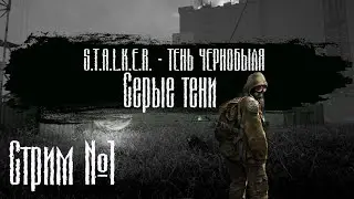 S.T.A.L.K.E.R.: Shadow of Chernobyl (Тень Чернобыля) I Серые тени I Стрим #1 I Знакомство с модом