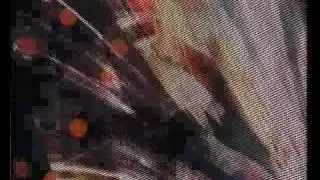 Петр Дранга