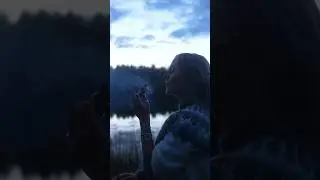 A magical evening in the Nordic forest