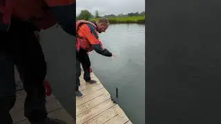 Paddle Trick. #Shorts