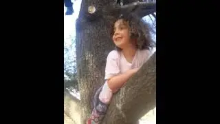 Climbing trees in Central Park