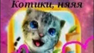 Играем в игру Cat simulator