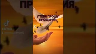 Прости меня. Прощеное воскресенье. Красивое видео для сторис в инстаграм. Видеооткрытка