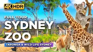 Full Tour of SYDNEY ZOO Australia | Featuring The Must-See Taronga Zoo and WILD LIFE Sydney