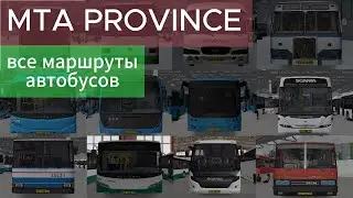 Все автобусные маршруты | MTA PROVINCE | Таймлапс