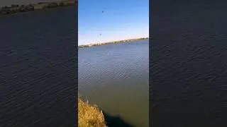 Окунь и  сломанный спиннинг #fishing #рыбалка #carpfishing #окунь #carp #рыба #щука