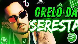 GRELO DA SERESTA - MÚSICAS NOVAS OUTUBRO 2024 VIDA, SE LIGUE!!!!