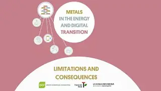 Metals for the Energy Transition: Limitations and Consequences