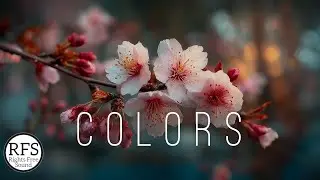 [No Copyright Music] Ambient Background Music by Rights Free Sound / Colors