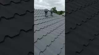 Киты поплыли по Камее.