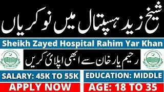 Sheikh Zayed Hospital Jobs 2024