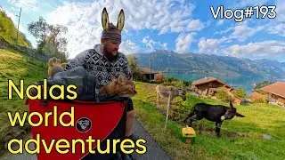 Vlog
