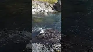 Kamlang