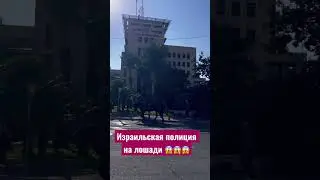 Израильская полиция на лошади 