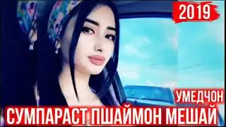 Репи бехтарин