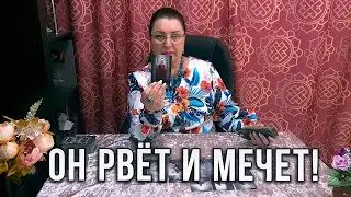 ОН РВЕТ И МЕЧЕТ! НА ЧТО ВНЕЗАПНО ОТКРЫЛИСЬ ЕМУ ГЛАЗА?