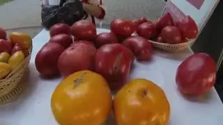 Стихийный рынок в  Энгельсе