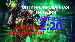 Профессор Мерзоцид 25HM (Оптимизированная гильдия)