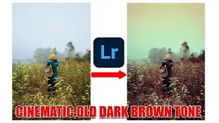 Cinematic colour grading Old Dark Brown Tone in Lightroom mobile tutorial