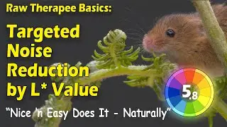 Raw Therapee Basics: Targeted Noise Reduction by L* Value
