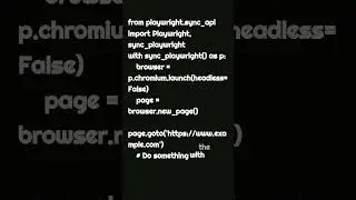 Playwright python : Launch Browser