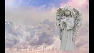ВЕРНИСЬ
