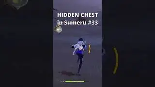 HIDDEN CHEST you might have missed in Sumeru #33 | Genshin Impact 
