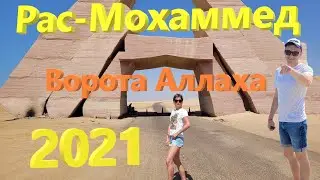 70. Египет. Осень 2021. Ворота Аллаха. Подводный мир Рас-Мохаммед. Экскурсия за 15$!