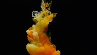 Ink transition animation - overlays for edits 