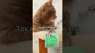Я узнала откуда она#видеонемоё #роблокс#gacha#реальнаяжизнь