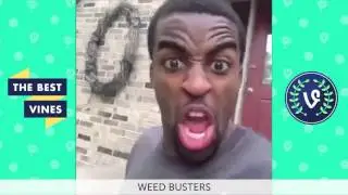 NEW Landon Moss Best Vines Compilation | Top Viners August 2015