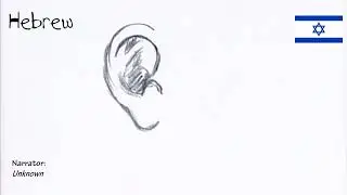 Baby Einstein: Baby da Vinci - Ears, Second Narration (One-Line Multilanguage)