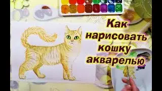 Как нарисовать кошку акварелью